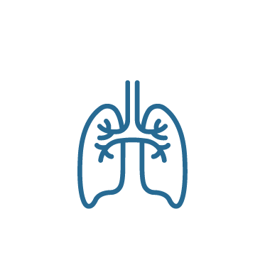 Íconos pulmones